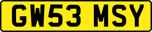 GW53MSY