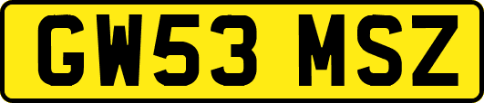 GW53MSZ