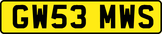 GW53MWS
