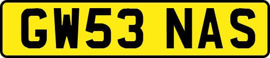 GW53NAS