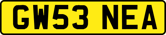 GW53NEA