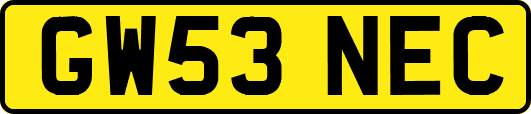 GW53NEC