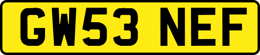 GW53NEF