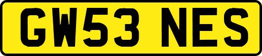 GW53NES