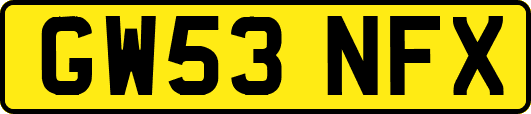GW53NFX