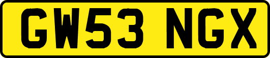 GW53NGX
