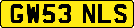 GW53NLS