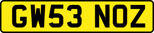 GW53NOZ