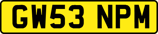 GW53NPM