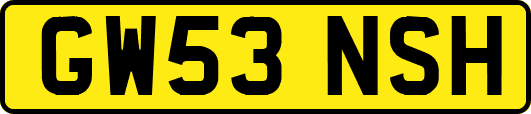 GW53NSH