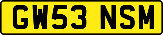 GW53NSM