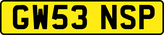 GW53NSP