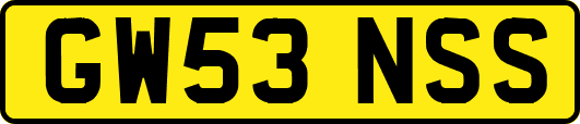 GW53NSS