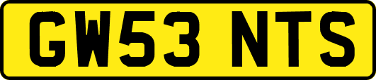 GW53NTS