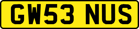 GW53NUS