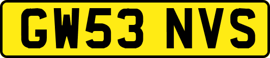 GW53NVS