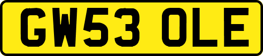 GW53OLE