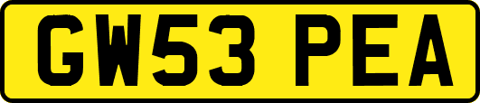 GW53PEA