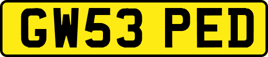 GW53PED