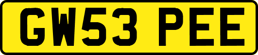 GW53PEE