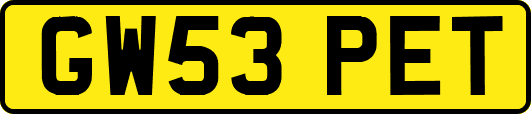 GW53PET