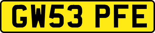 GW53PFE
