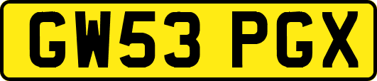 GW53PGX