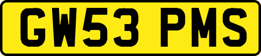 GW53PMS