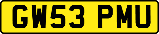 GW53PMU