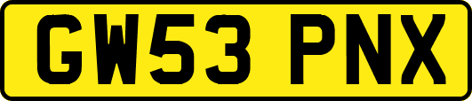 GW53PNX