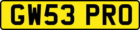 GW53PRO