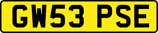 GW53PSE