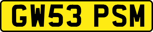 GW53PSM