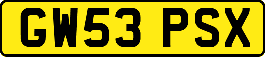 GW53PSX
