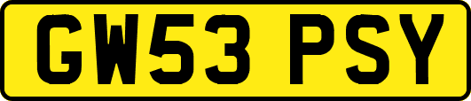 GW53PSY