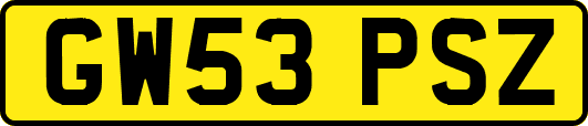 GW53PSZ