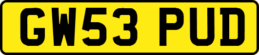 GW53PUD