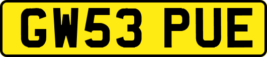 GW53PUE