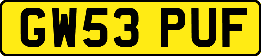 GW53PUF