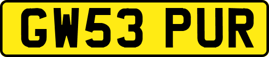 GW53PUR