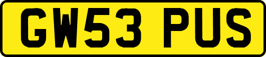 GW53PUS
