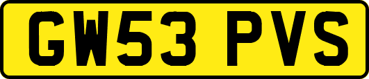GW53PVS
