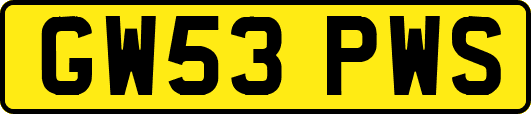GW53PWS