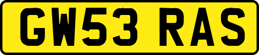 GW53RAS