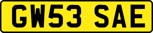 GW53SAE