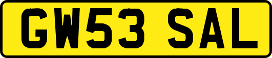 GW53SAL