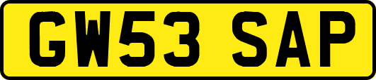 GW53SAP