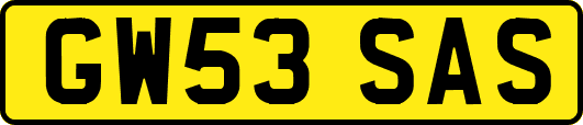 GW53SAS
