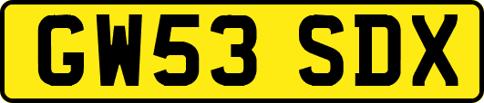 GW53SDX