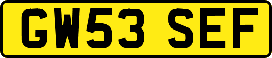 GW53SEF